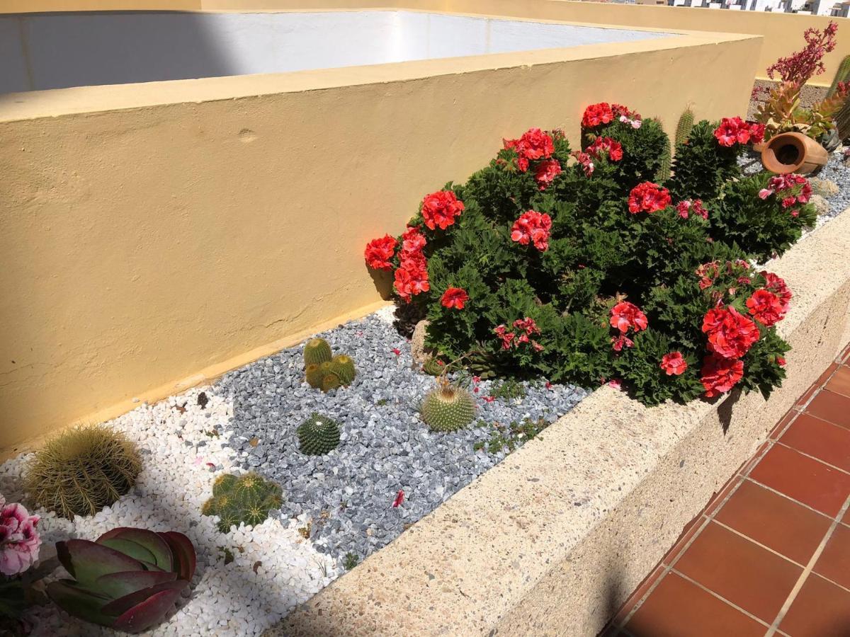 אדחה Apartamento Con Impresionantes Vistas Y Piscina מראה חיצוני תמונה