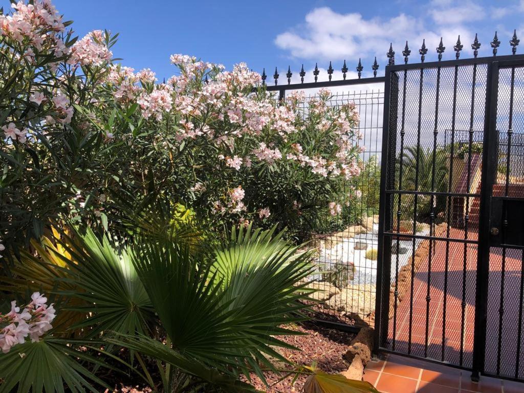 אדחה Apartamento Con Impresionantes Vistas Y Piscina מראה חיצוני תמונה